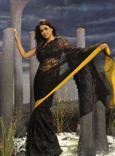 Genelia Looking Hot in Black Saree