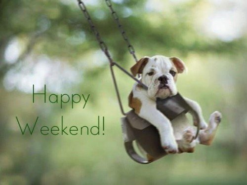 Happy Weekend Hanging Dog Graphic