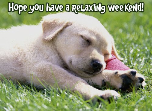 Hope You Have A Relaxing Weekend Lazy Puppy Graphic