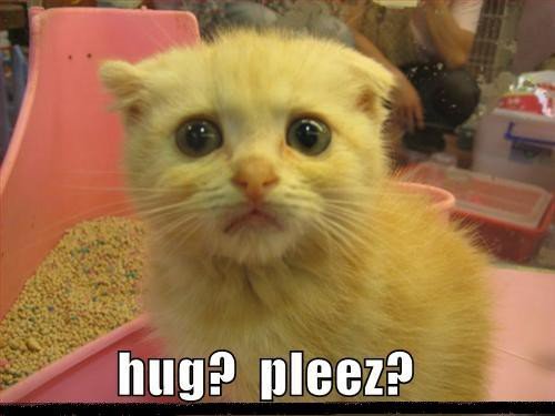 Hug Please