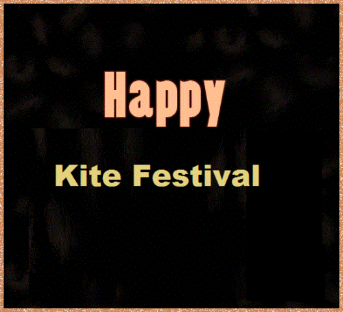 Kite Festival (3)