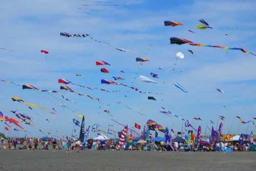 Kite Festival Pic