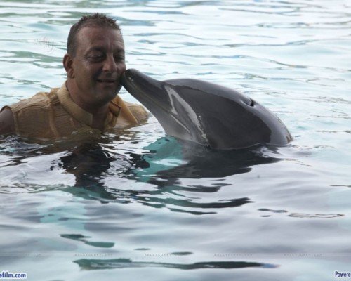 Sanjay Dutt With A Dolphin