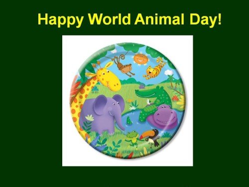 World Animal Day (2)