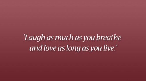 laugh-as-much-as-you-breathe-and-love-as-long-as-you-live16